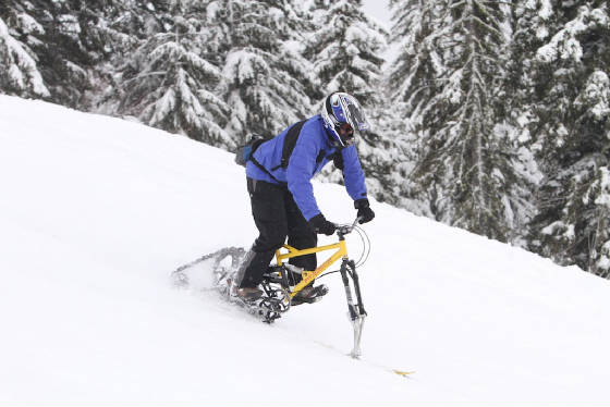 Snowbike1.jpg